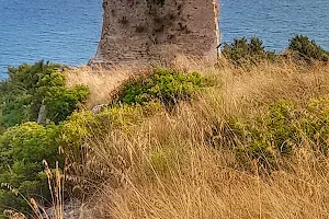 Torre di Monte D'Oro image