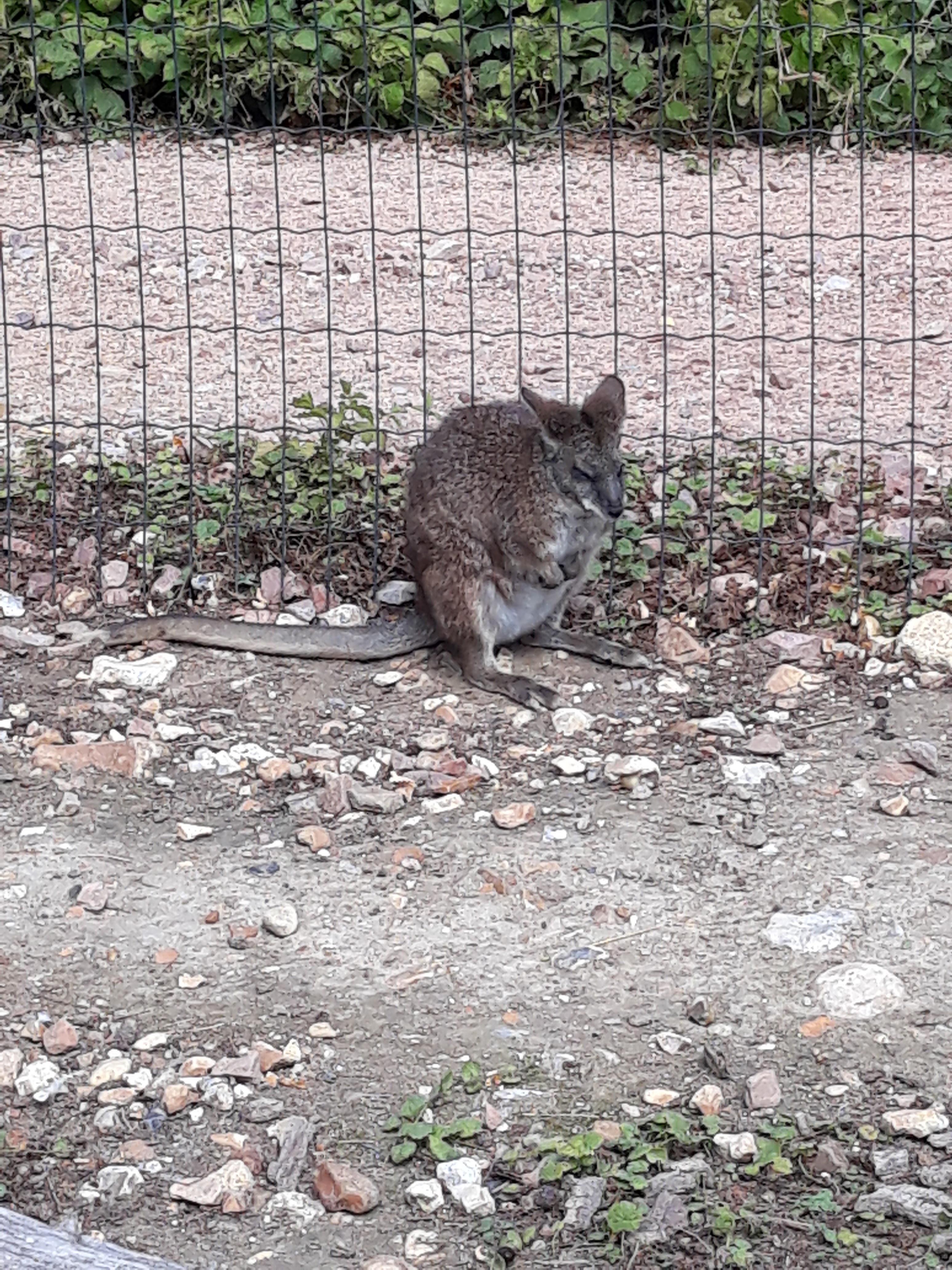 Photo n° 32 de l'avis de Estelle.o fait le 09/08/2018 à 10:25