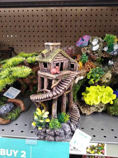 Pet Store «PetSmart», reviews and photos, 1671 S Interstate Hwy 35 #200, New Braunfels, TX 78130, USA