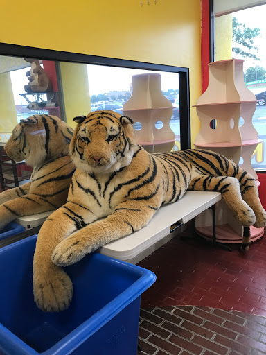 Amusement Center «Bumper Jumpers Indoor Playground», reviews and photos, 4217 W Gate City Blvd, Greensboro, NC 27407, USA