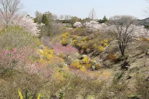 花の山 image