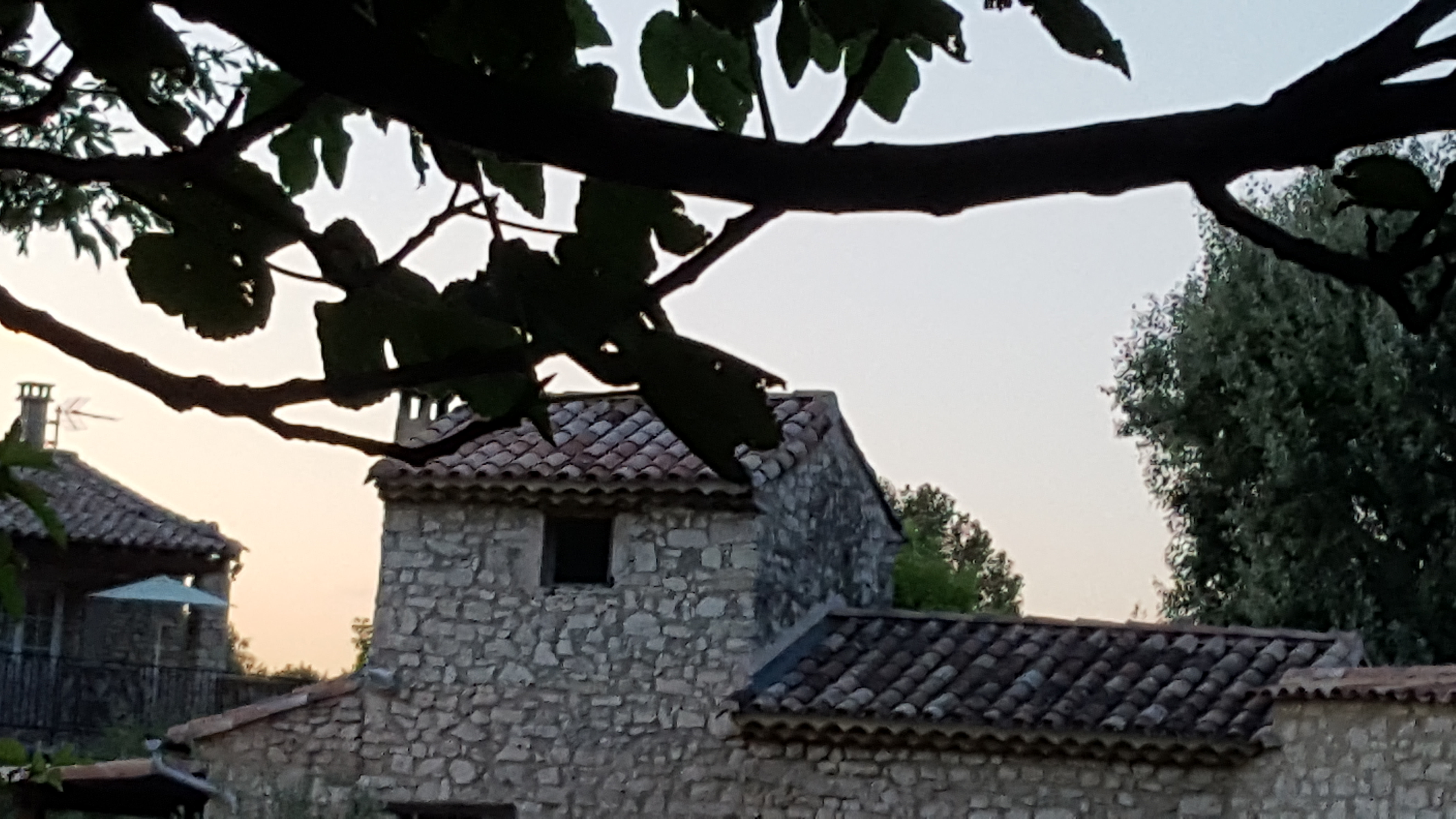 Photo n° 6 de l'avis de Aymeric.e fait le 03/08/2019 à 17:03