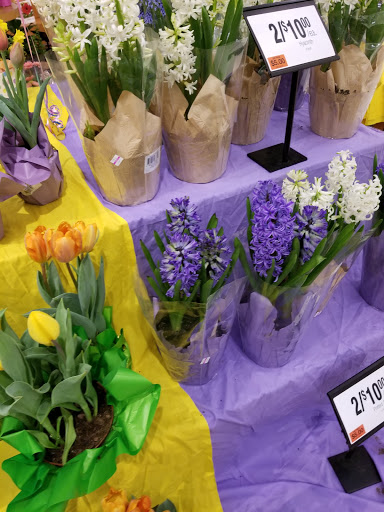 Supermarket «Super Stop & Shop», reviews and photos, 2145 Fairfield Ave, Bridgeport, CT 06606, USA