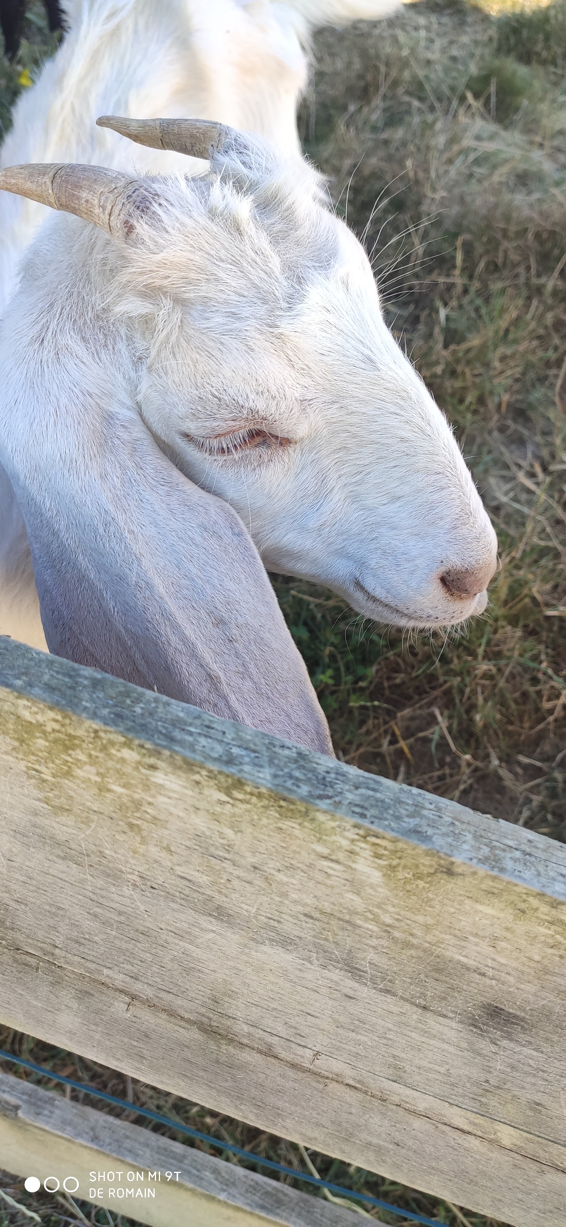 Photo n° 7 de l'avis de Romain.o fait le 12/07/2020 à 18:05