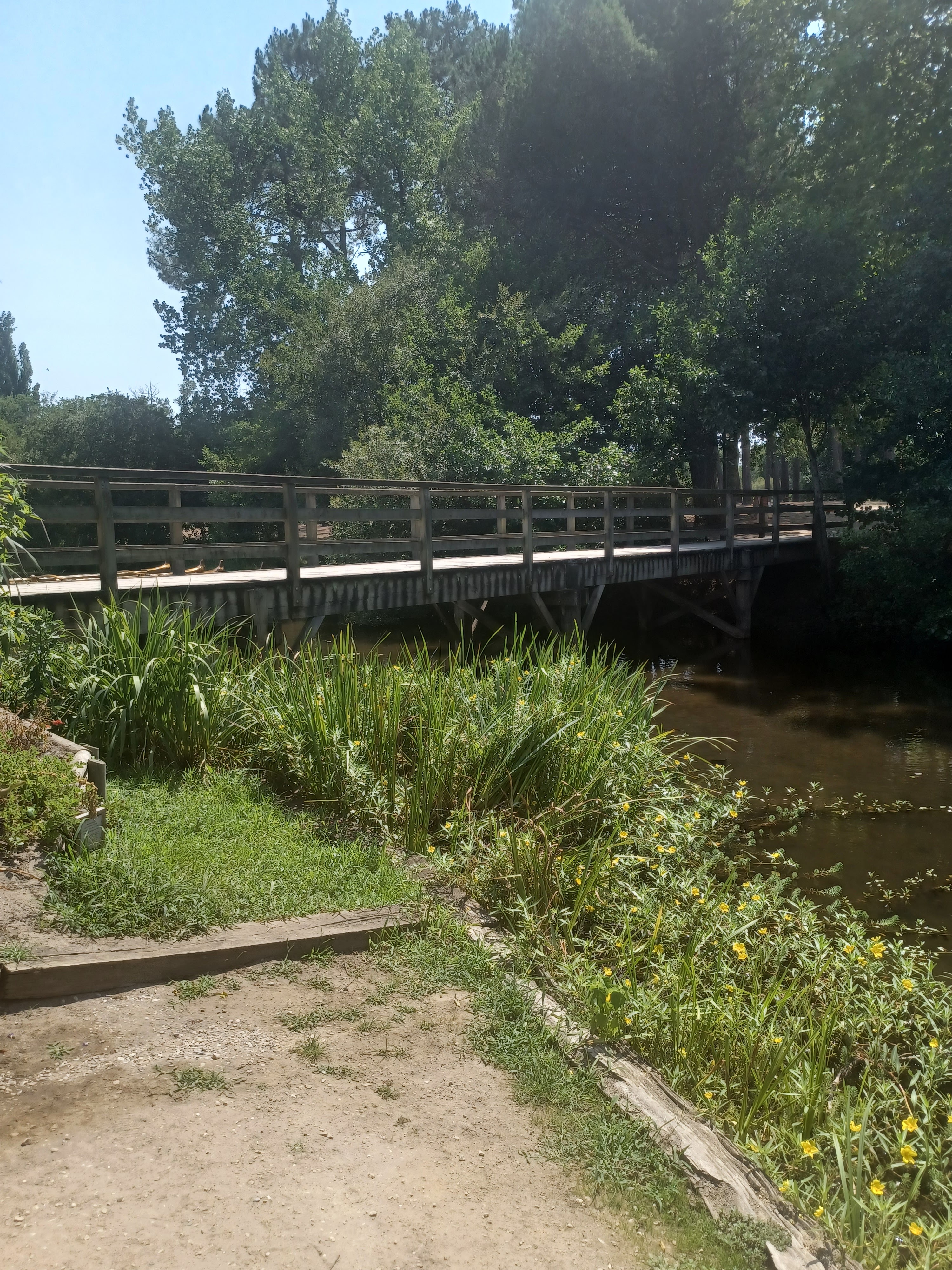 Photo n° 5 de l'avis de Denis.r fait le 18/07/2022 à 12:59
