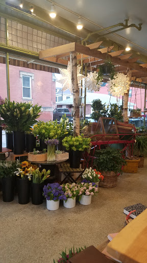 Florist «Jephry Flower Studio», reviews and photos, 432 Broadway, Providence, RI 02909, USA
