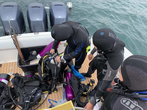 ASD Scuba Diving School image