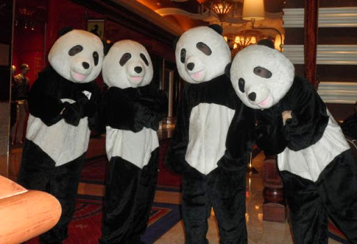 Auto Glass Shop «Power Up Auto Inc», reviews and photos, 13866 84th Terrace N, Seminole, FL 33776, USA