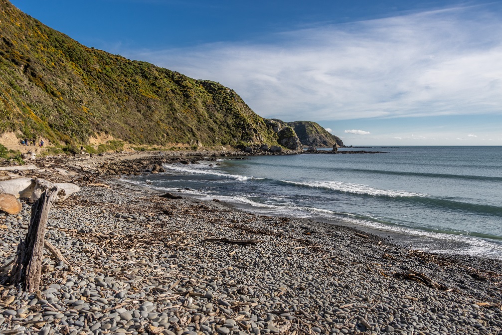 Photo de Makara Beach avec #43