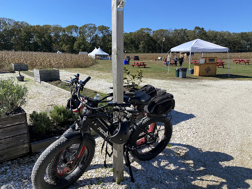 Bicycle Store «Pedego Electric Bikes of Spring Lake», reviews and photos, 217 Jersey Ave, Spring Lake, NJ 07762, USA