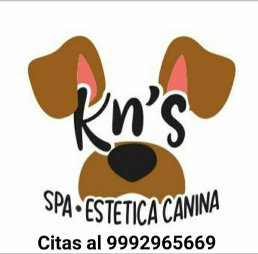 KN'S Spa Canino by Lupita Sosa