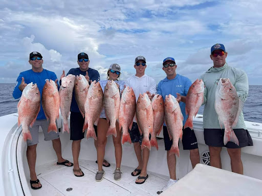 Bait Shop «Angler 360 Bait Tackle and Apparel Co. Belleair Causeway», reviews and photos, 3900 W Bay Dr, Belleair Bluffs, FL 33770, USA