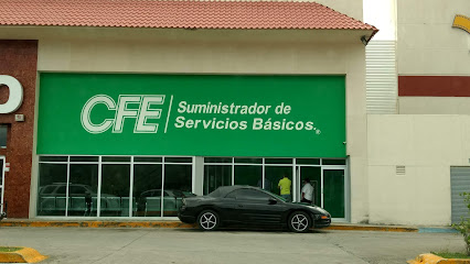 CFE Servicios Basicos