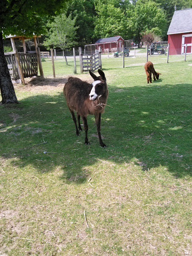 Park «Barnyard Zoo», reviews and photos, 127 Green Hill Pkwy, Worcester, MA 01605, USA