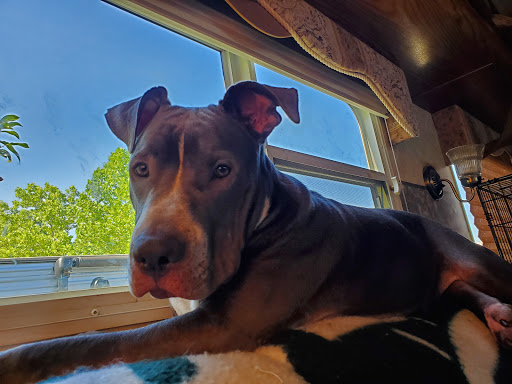 RV Park «Dallas Hi Ho RV Park», reviews and photos, 200 West Bear Creek, Glenn Heights, TX 75154, USA