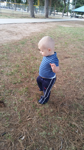 Park «Folley Memorial Park», reviews and photos, 601 E Frye Rd, Chandler, AZ 85225, USA