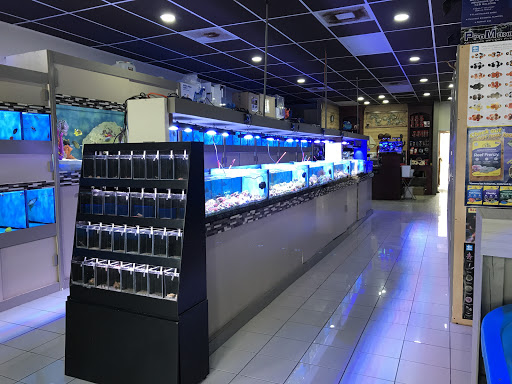 Aquarium «Nemos Aquarium», reviews and photos, 4051 Stone Mountain Hwy, Snellville, GA 30039, USA