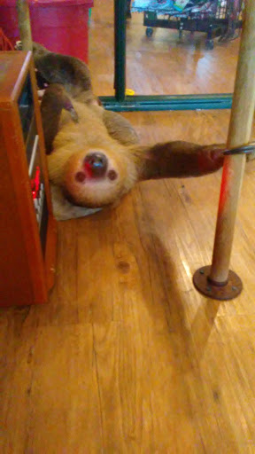 Pet Supply Store «EarthWise Pet Supply - Flower Mound», reviews and photos, 2311 Cross Timbers Rd #307, Flower Mound, TX 75028, USA