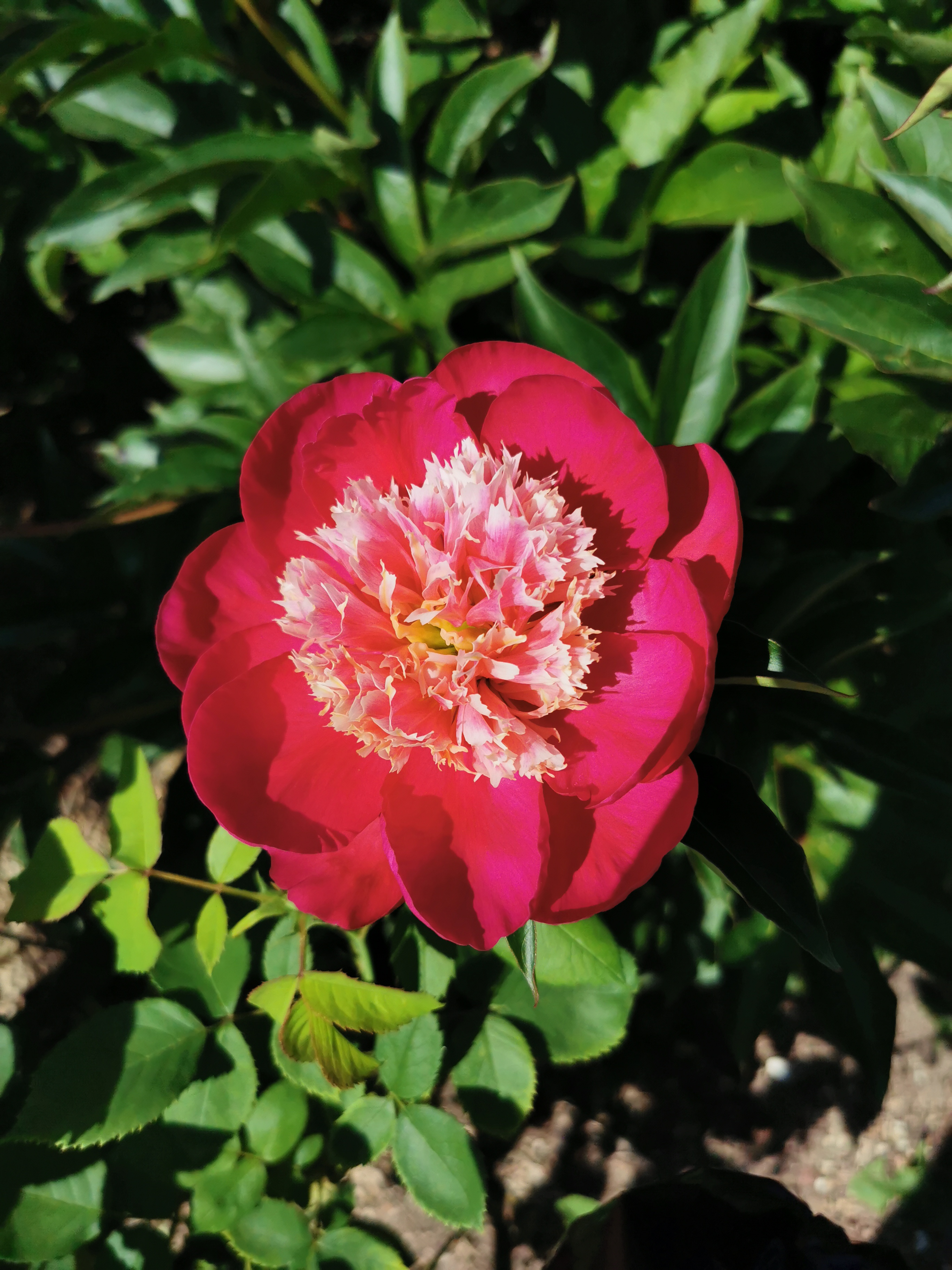 Photo n° 3 de l'avis de M.. fait le 18/05/2022 à 18:11