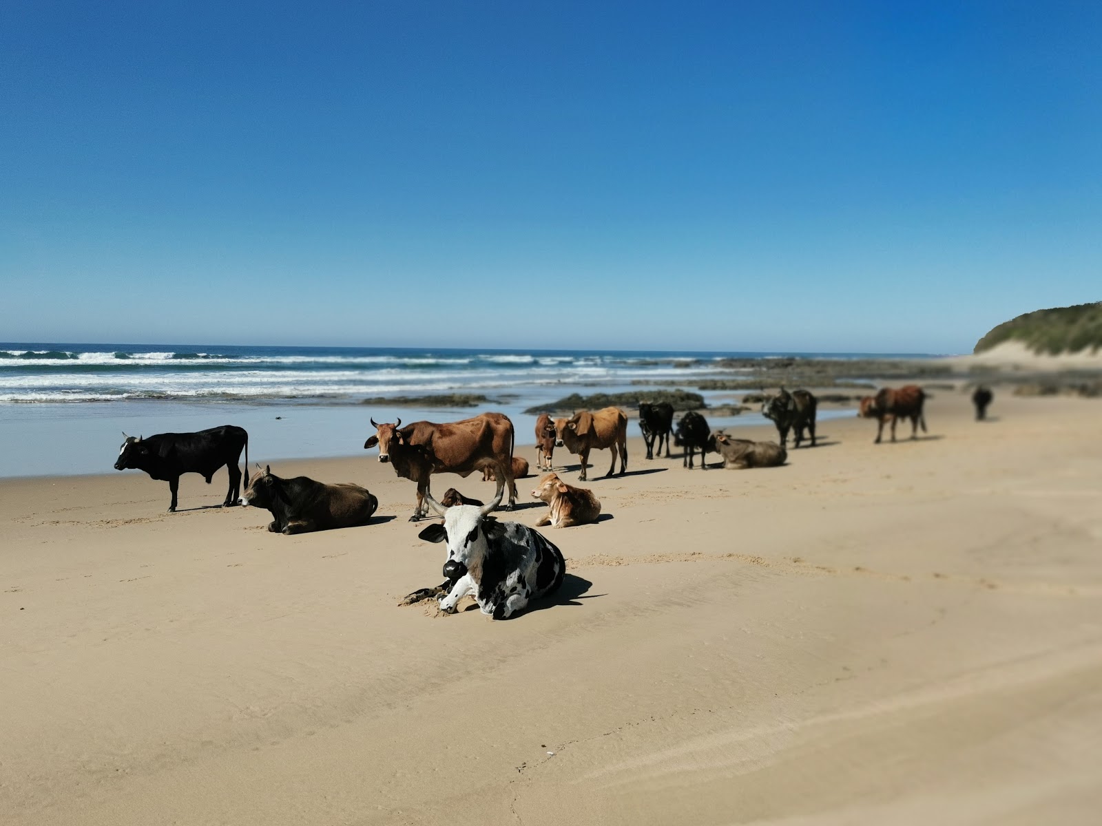 Fotografie cu Bashee beach cu nivelul de curățenie scăzut