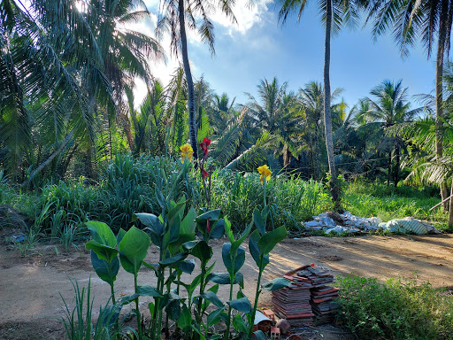 Lê Minh Nhựt