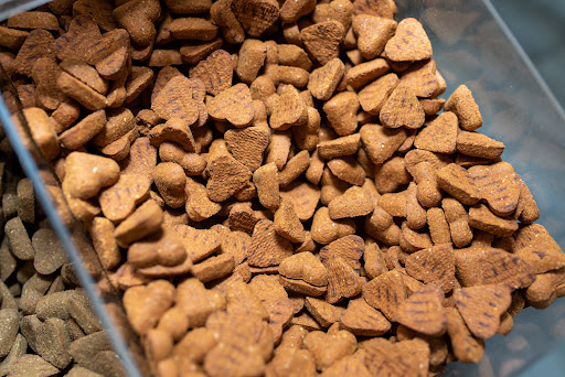 Pet Supply Store «Earth Pets Natural Pet Market», reviews and photos, 500 NW 60th St # F, Gainesville, FL 32607, USA