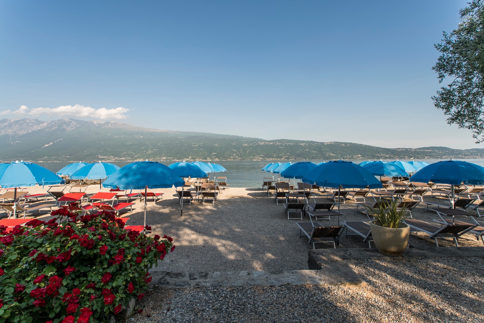 Spiaggia Lido dei Limoni'in fotoğrafı - rahatlamayı sevenler arasında popüler bir yer