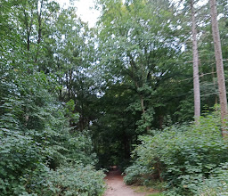 Luther Park photo