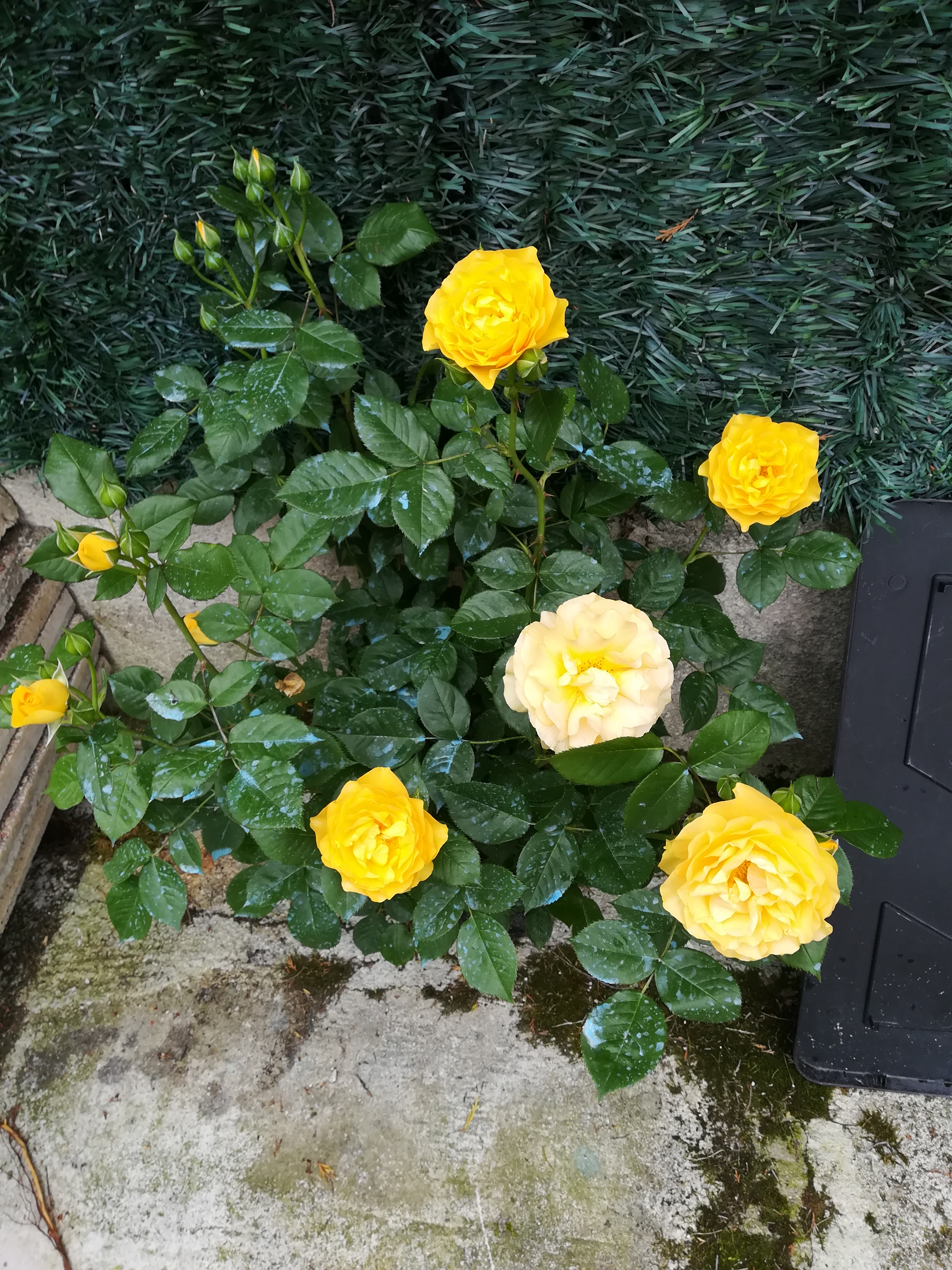 Photo n° 3 de l'avis de Isabelle.e fait le 28/05/2018 à 15:14