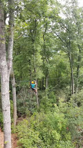 Tourist Attraction «The Gorge - A Zipline Canopy Tour», reviews and photos, 166 Honey Bee Dr, Saluda, NC 28773, USA