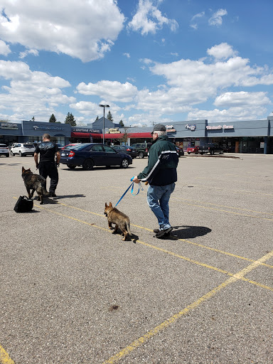 Pet Store «Feed Rite Pet Shop & Supply», reviews and photos, 11760 Belleville Rd, Belleville, MI 48111, USA