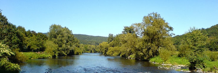 Extérieur Ferienwohnung Apartment Bike and hiking paradise, R.Höffer 51570 Windeck