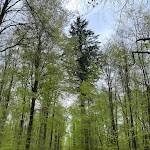 Photo n°16 de l'avis de Florian.e fait le 02/05/2023 à 20:29 sur le  Hofgut Grimm | Weinlounge | Restaurant à Külsheim