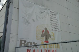 Box Arena Walldorf e.V. image
