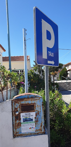 Táxis Domingues - Serviço de transporte
