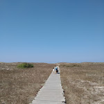 Photo n°1 de l'avis de Alessandro.i fait le 28/08/2019 à 14:11 sur le  Chiosco La Playa à San Giovanni di Sinis