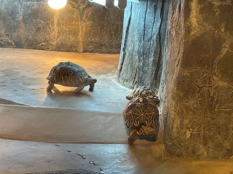 太陽の動物舎