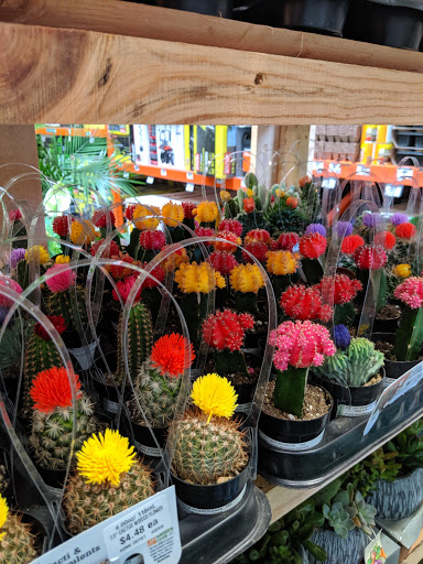 Home Improvement Store «The Home Depot», reviews and photos, 3350 N Woodlawn Blvd, Wichita, KS 67220, USA