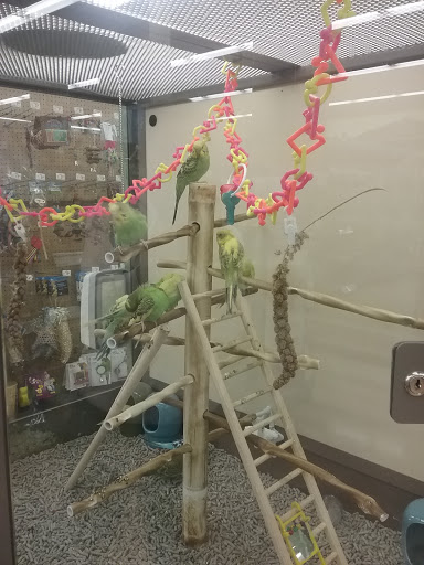 Pet Supply Store «Petco Animal Supplies», reviews and photos, 1619 SE Ensign Ln, Warrenton, OR 97146, USA
