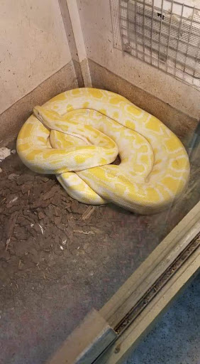 Zoo «Cricket Hollow Zoo», reviews and photos, 1512 210th St, Manchester, IA 52057, USA