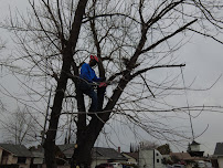 All Backyard Pro - Photo 2 - Car repair in , Sacramento