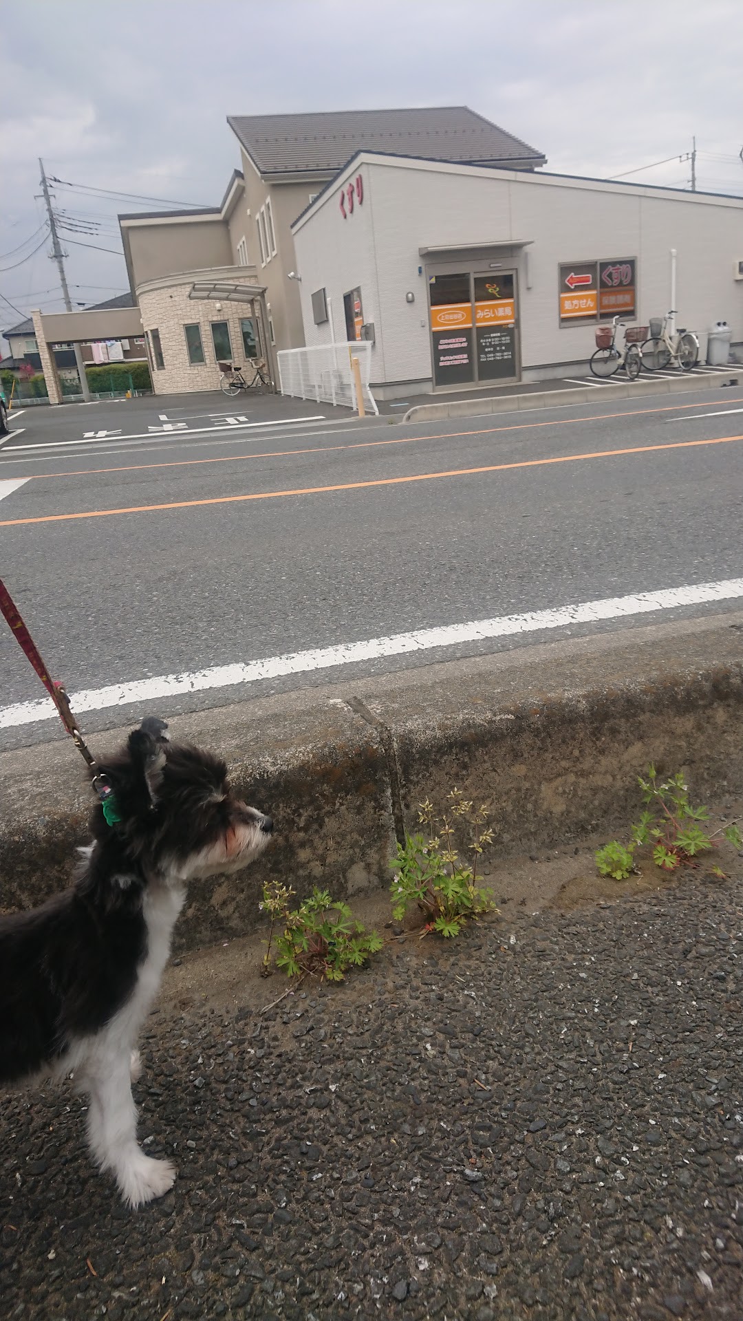 みらい薬局 上日出谷店