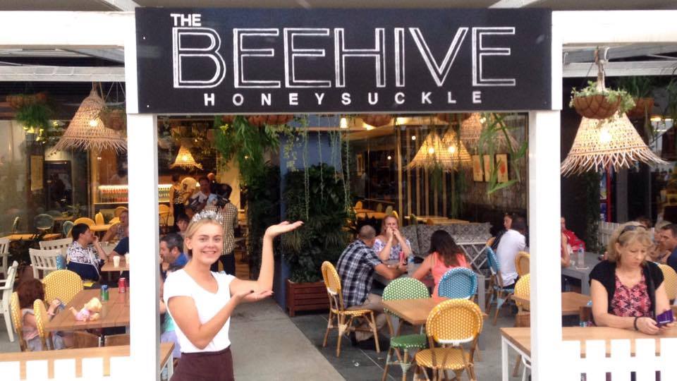 The Beehive Honeysuckle 2300