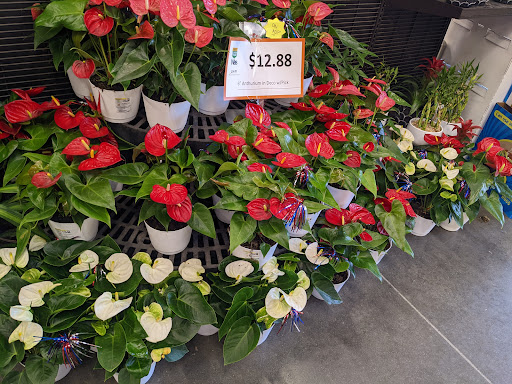 Home Improvement Store «The Home Depot», reviews and photos, 23651 El Toro Rd, Lake Forest, CA 92630, USA