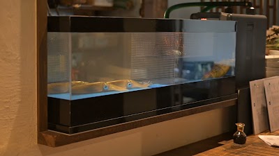 酒家 魚肉菜 虹晴れ