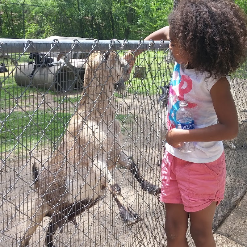 Tregembo Animal Park