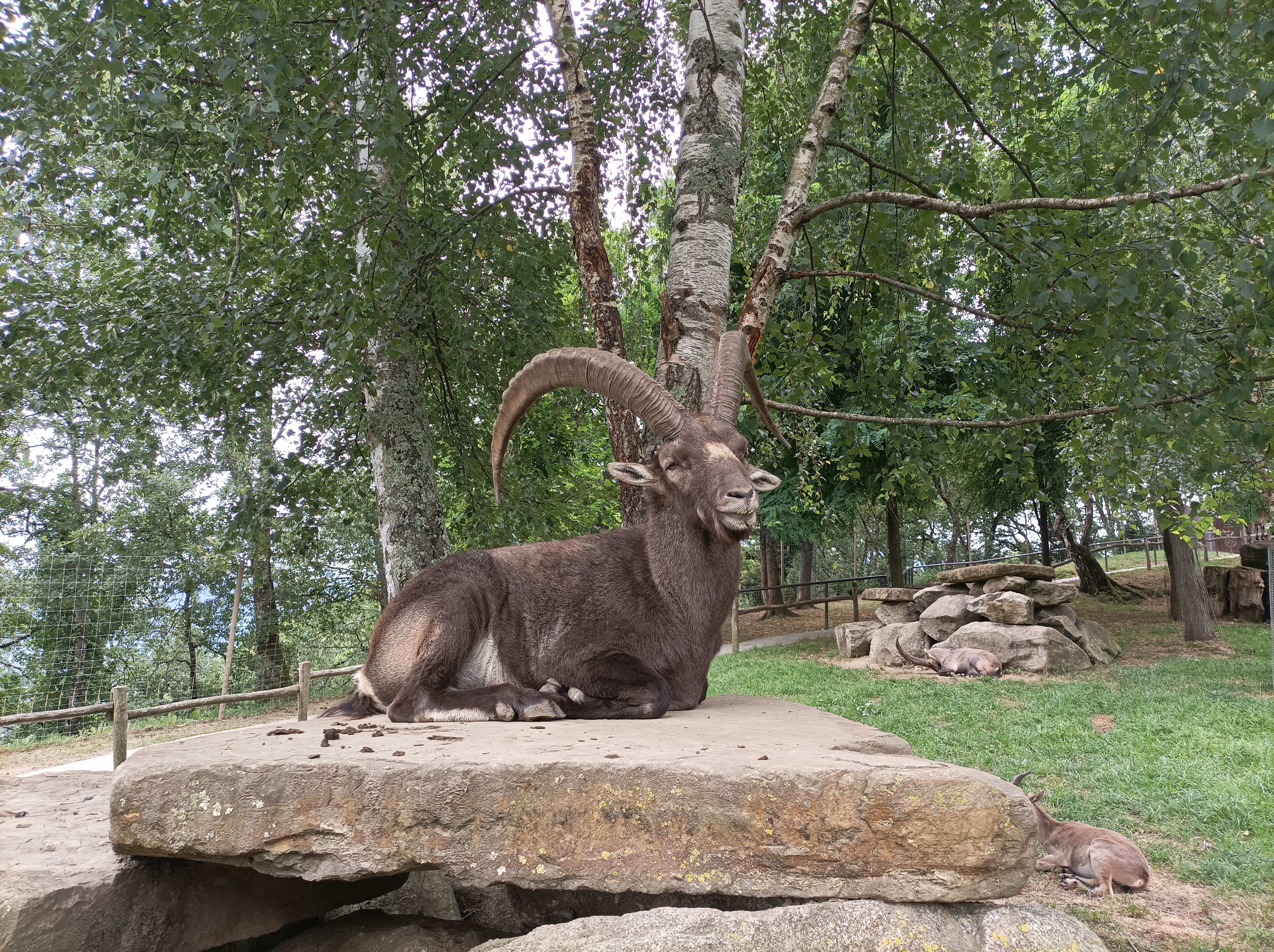 Photo n° 2 de l'avis de Ludo.o fait le 25/07/2023 à 17:39