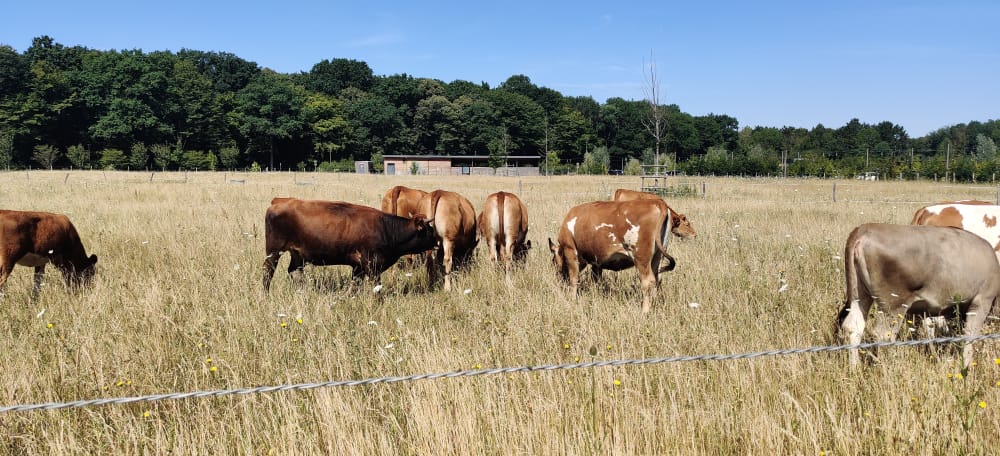 Photo n° 12 de l'avis de Esma.a fait le 17/07/2022 à 11:07