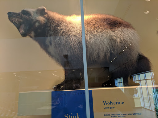 Museum «Delaware Museum of Natural History», reviews and photos, 4840 Kennett Pike, Wilmington, DE 19807, USA