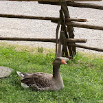 Photo n°2 de l'avis de Wanda.u fait le 16/07/2022 à 17:23 sur le  Markus Wasmeier Freilichtmuseum à Schliersee